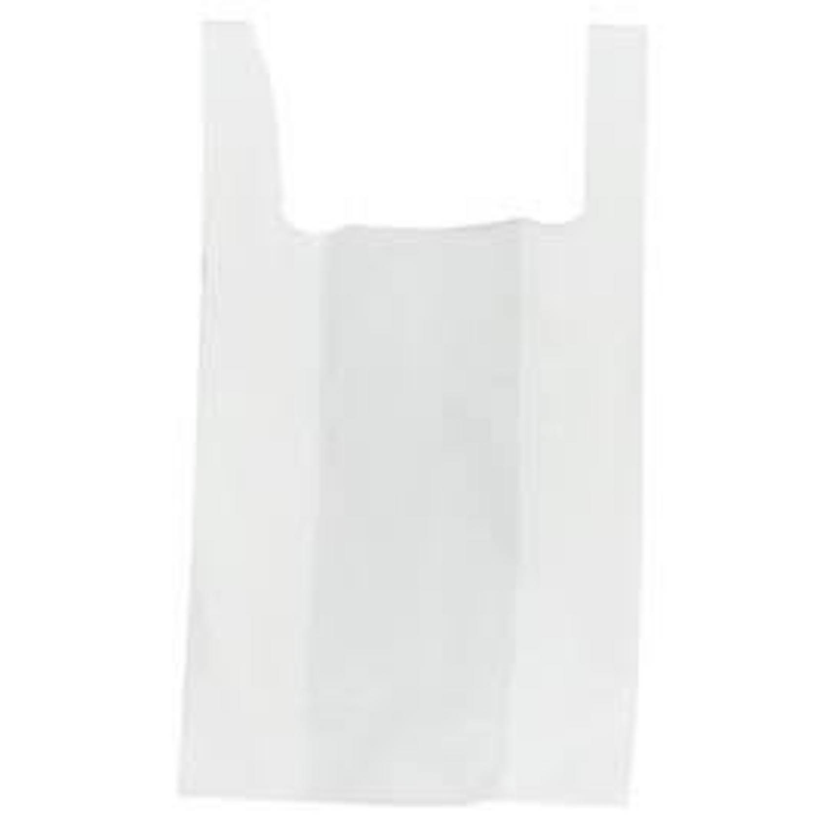 Small white Carry Bag