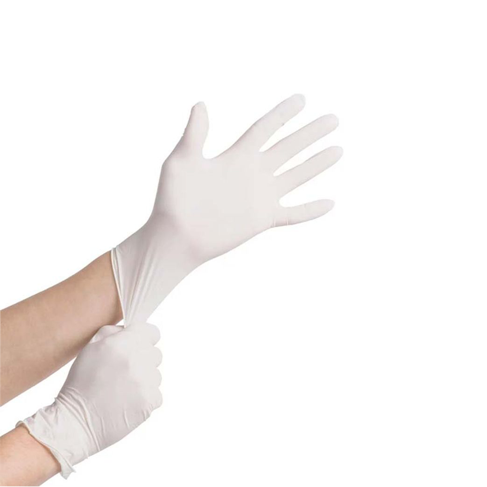 Disposable Latex Powder Free Glove, Ctn of 1000